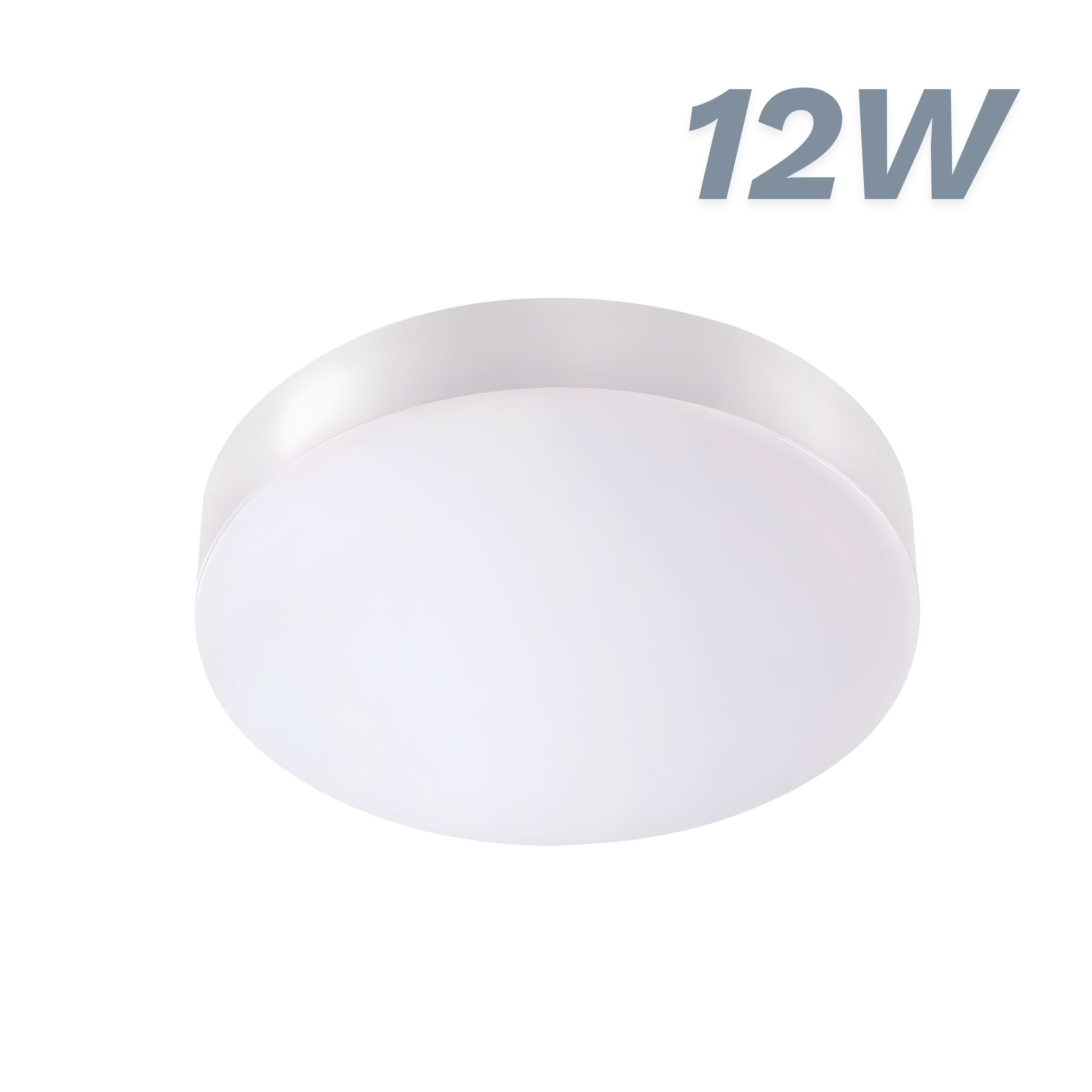 Surface light 12W