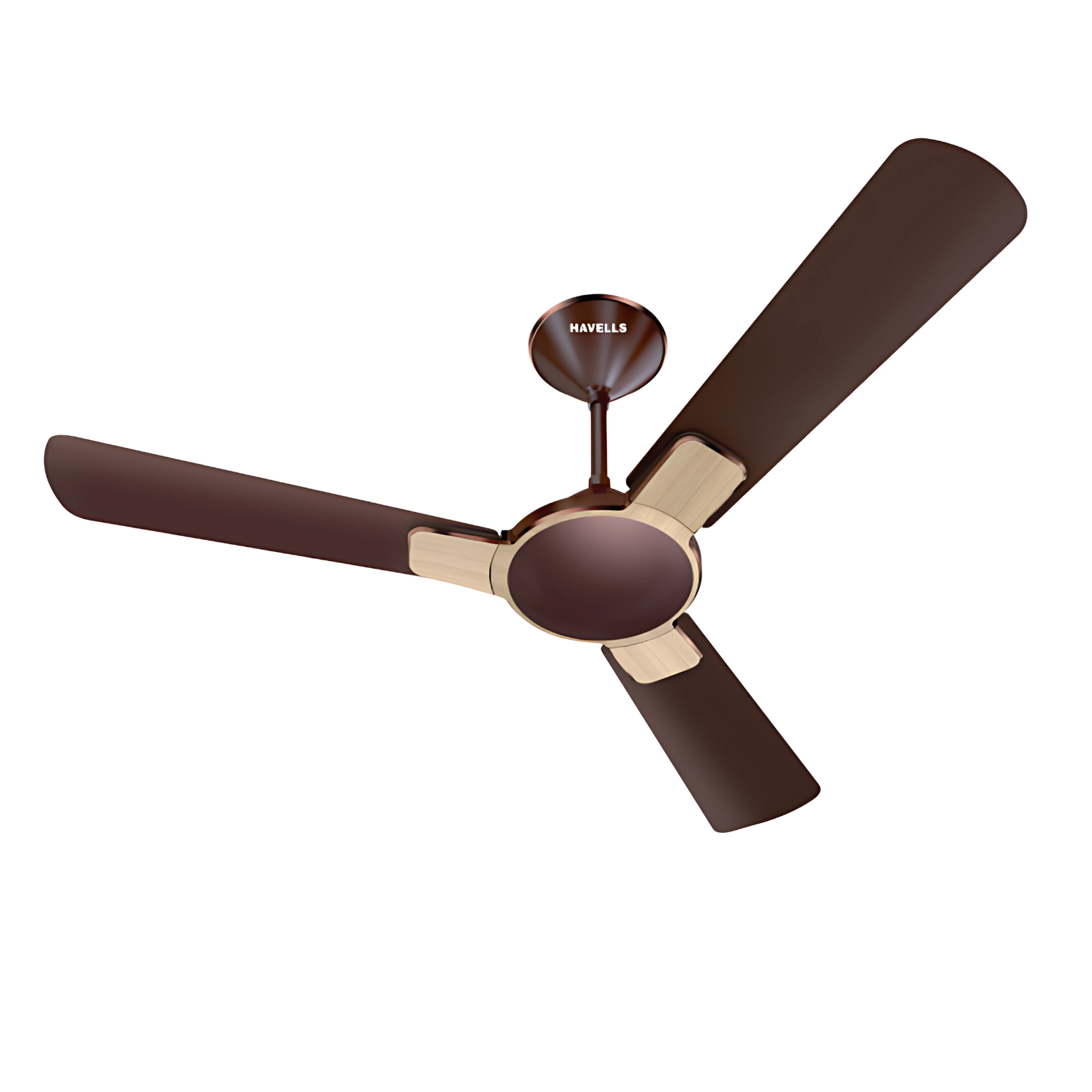 Ceiling fan