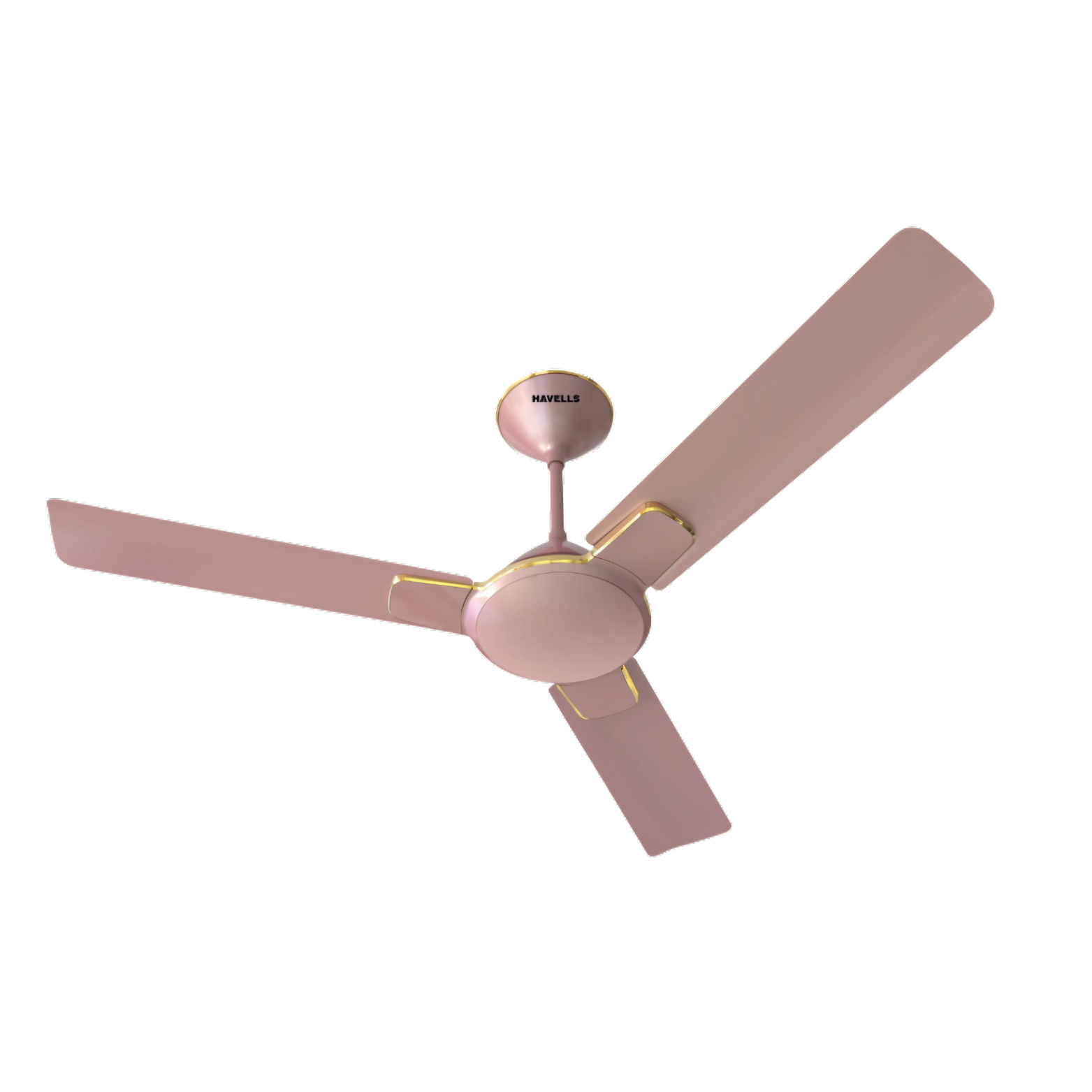 Decorative Fans starts at 1699