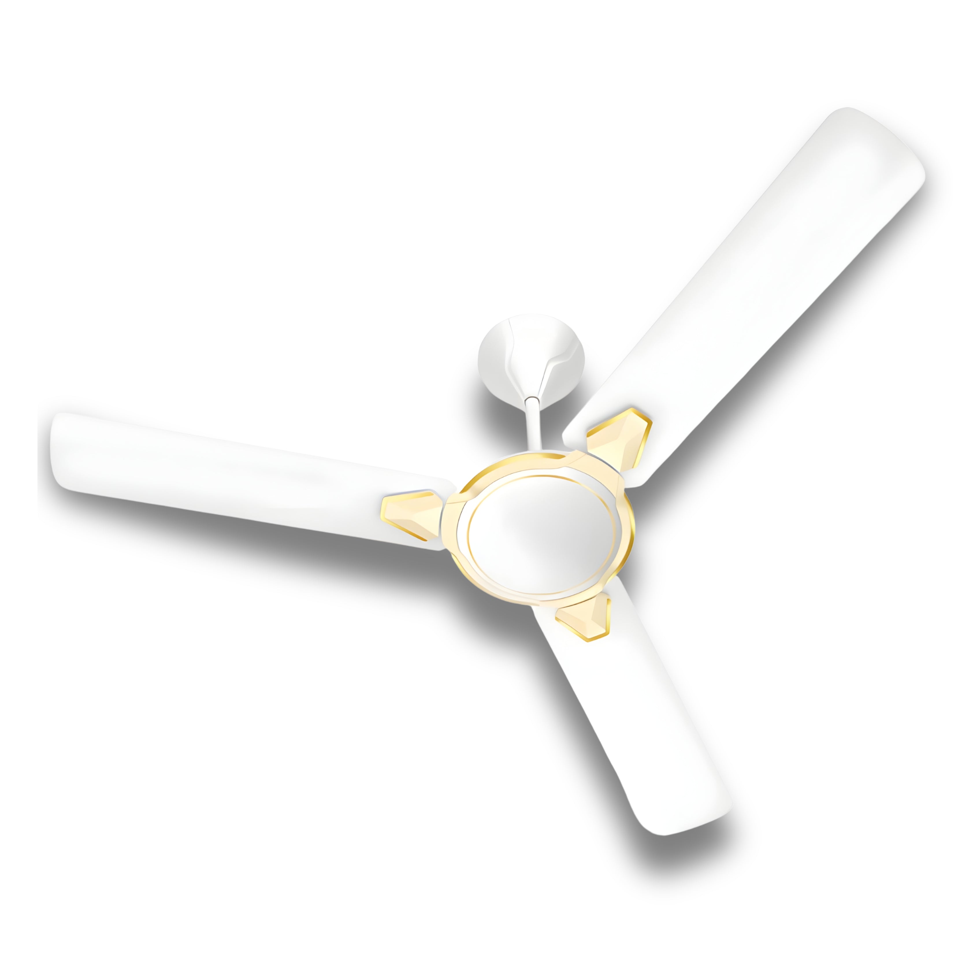 Ceiling fan