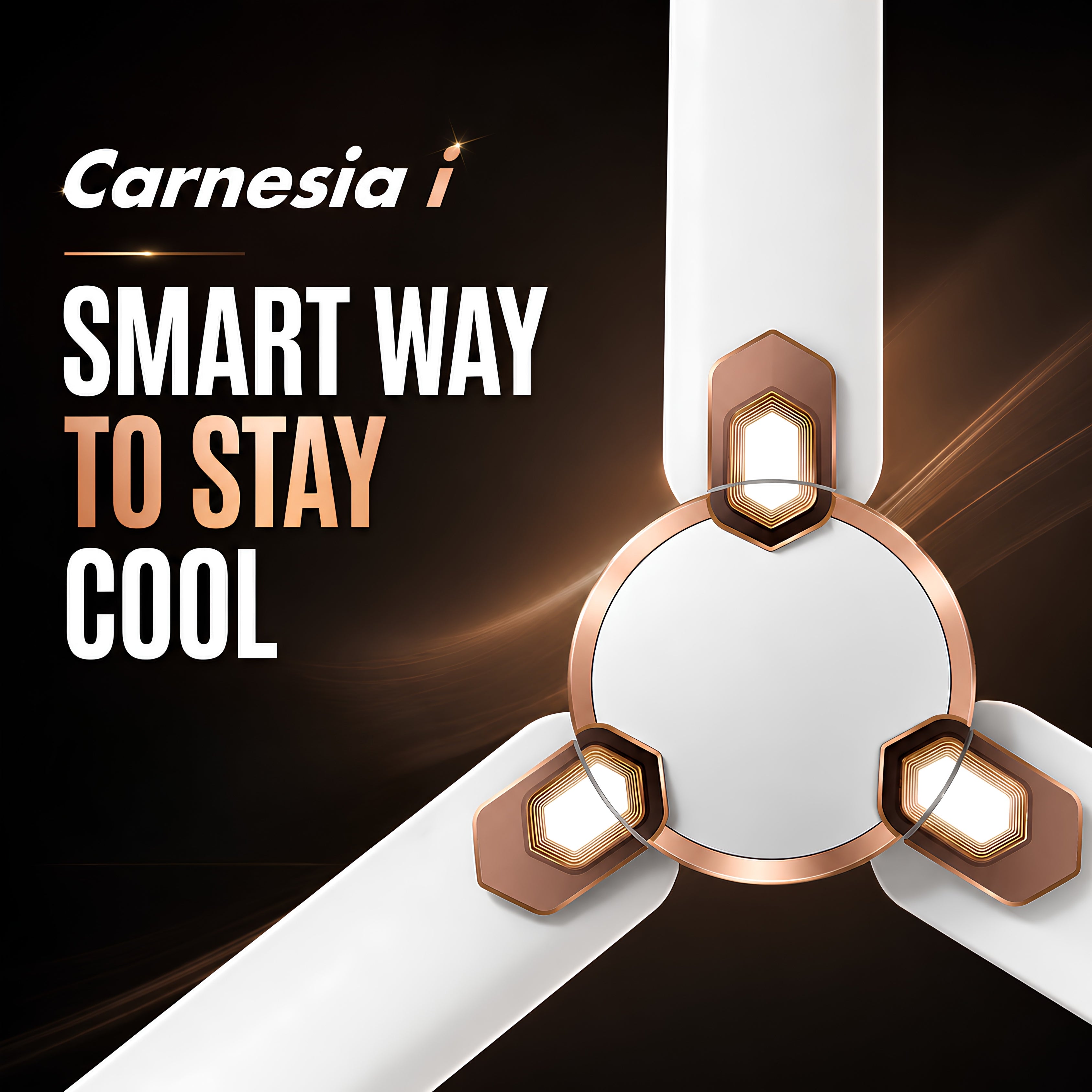 Havells Carnesia 1200mm Ceiling Fan (White & LT Copper) | 100% Copper Motor | High Air Delivery | 2 Year Warranty