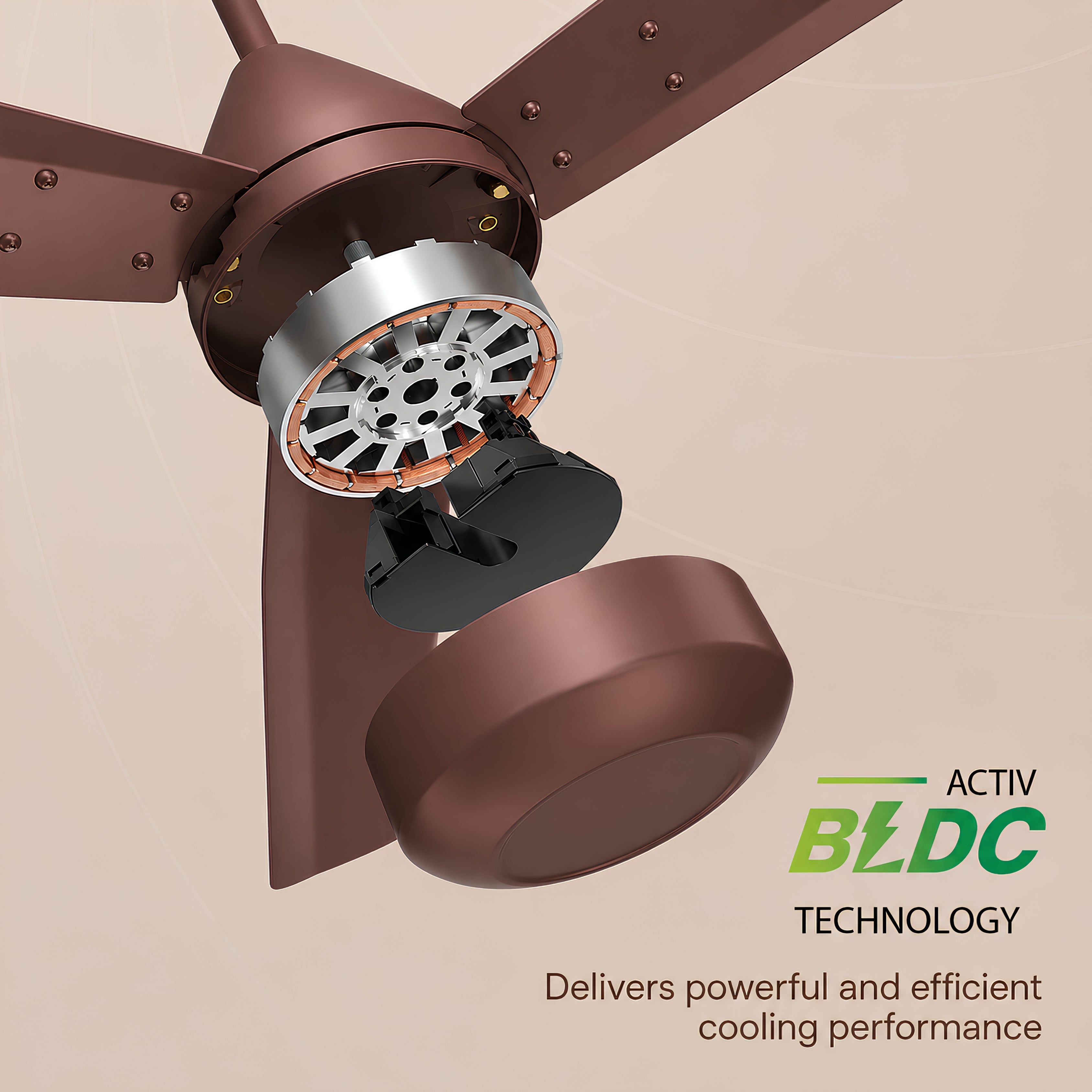 Crompton Energion Cookie 1200mm BLDC Ceiling Fan with Remote Control | BEE 5 Star Rated Energy Efficient | High Air Delivery  | Anti-Rust Blades | 2 Year Manufacturer Warranty