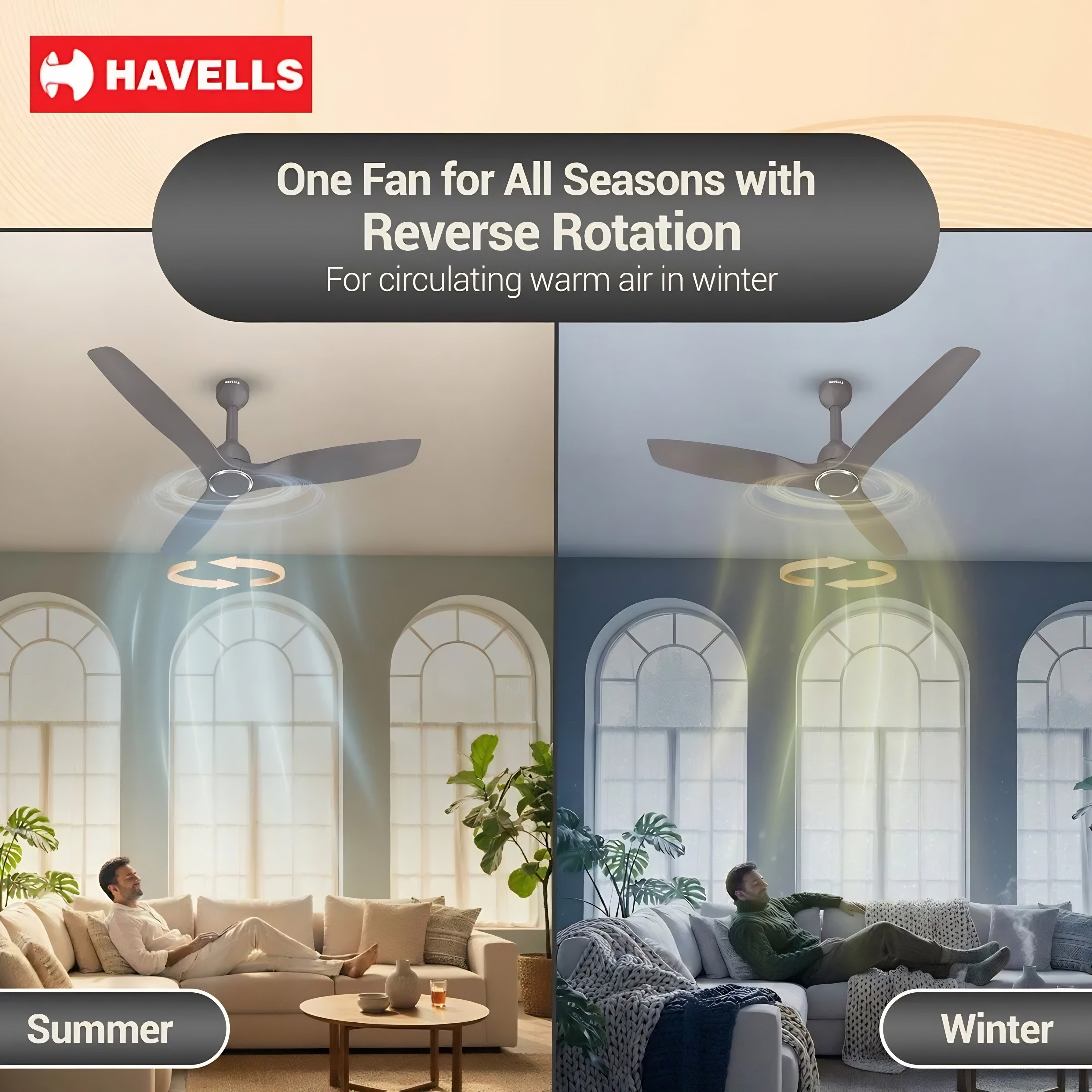 Stealth Slim BLDC 1200mm Ceiling Fan (Stone Grey) | 50% Energy Saving | BLDC Motor