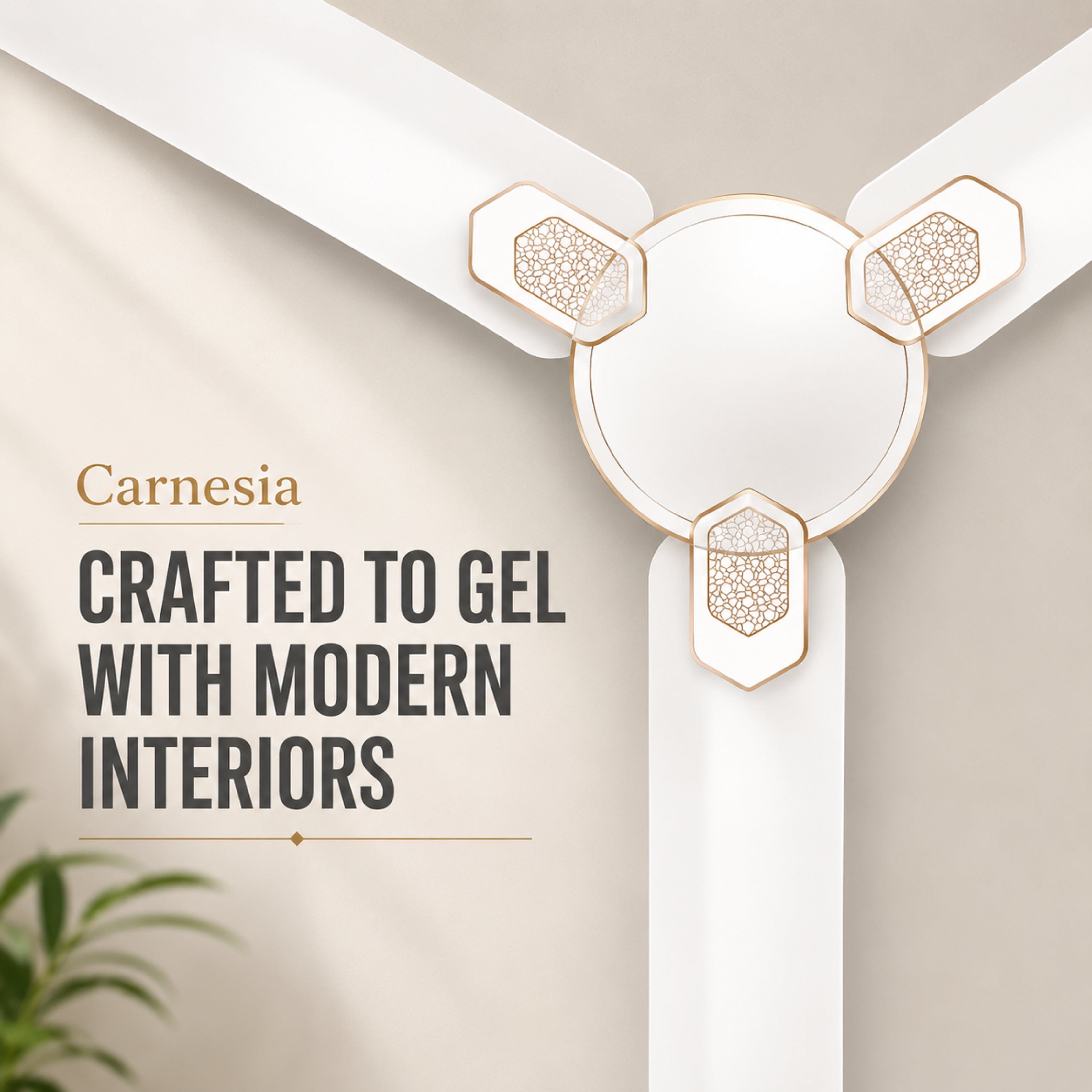 Havells Carnesia 1200mm Ceiling Fan (White & LT Copper) | 100% Copper Motor | High Air Delivery | 2 Year Warranty