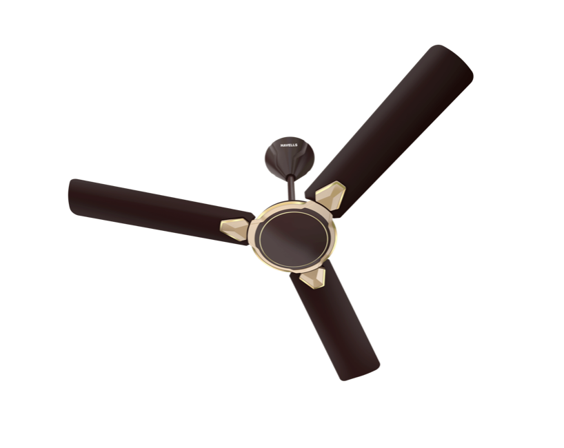 Havells Equs Brown 1200 mm Fan